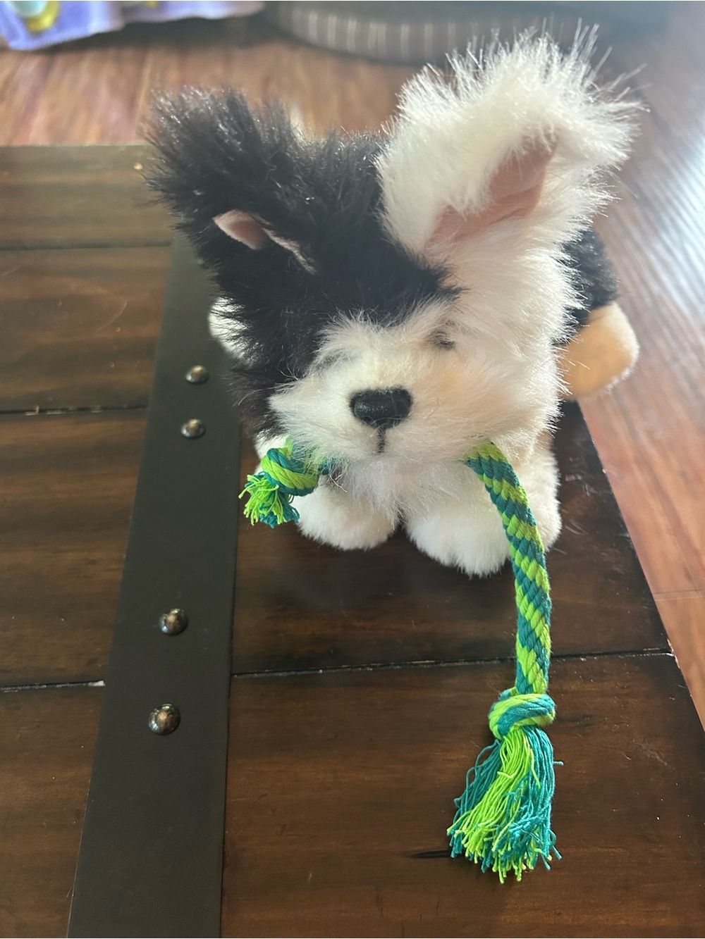 Hasbro Black & White Plush Puppy with Green and Blue Rope